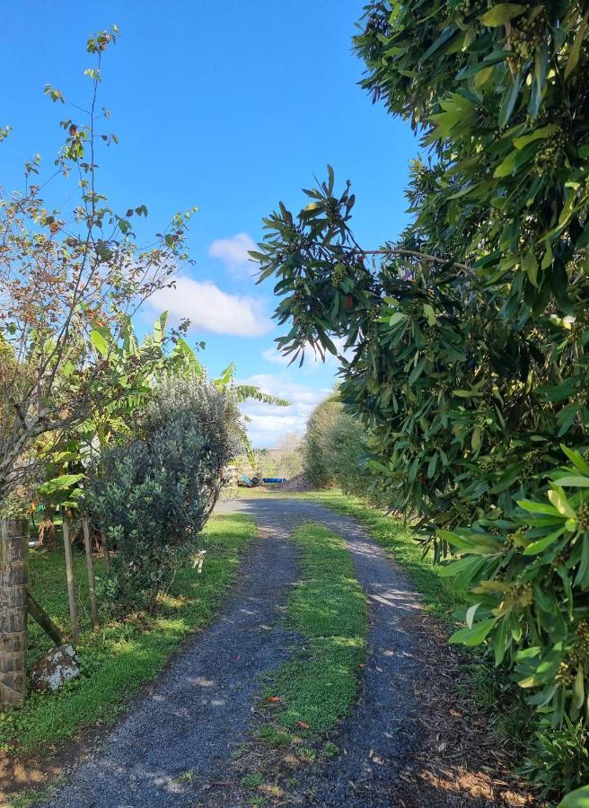 Bookabarn Villa Kerikeri Eksteriør bilde
